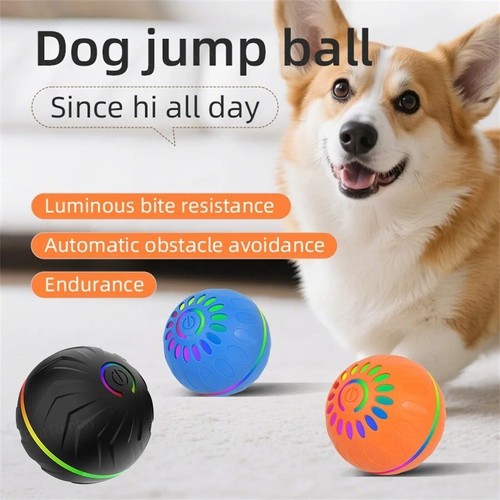 Interactive dog toys - ball,,